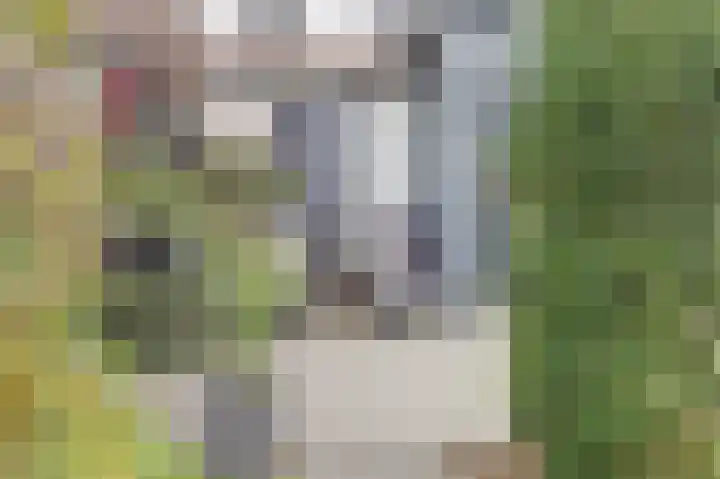 Molendijk 8 's-Heerenhoek thumbnail 20