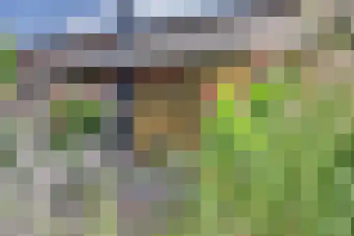 Molendijk 8 's-Heerenhoek thumbnail 22