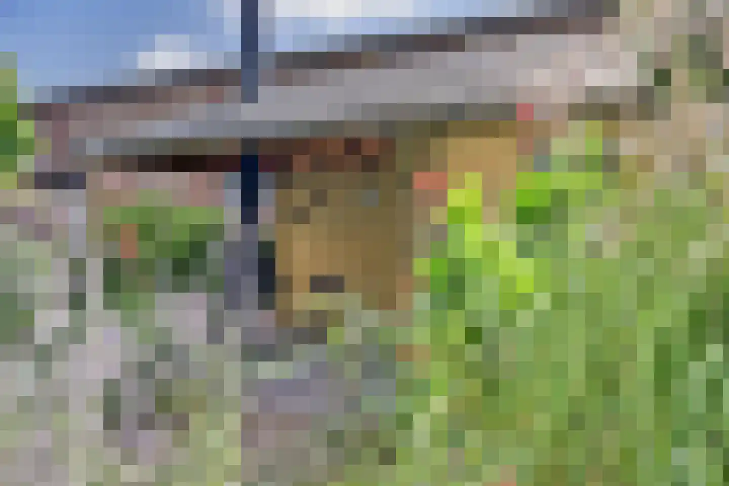 Molendijk 8 's-Heerenhoek thumbnail 23