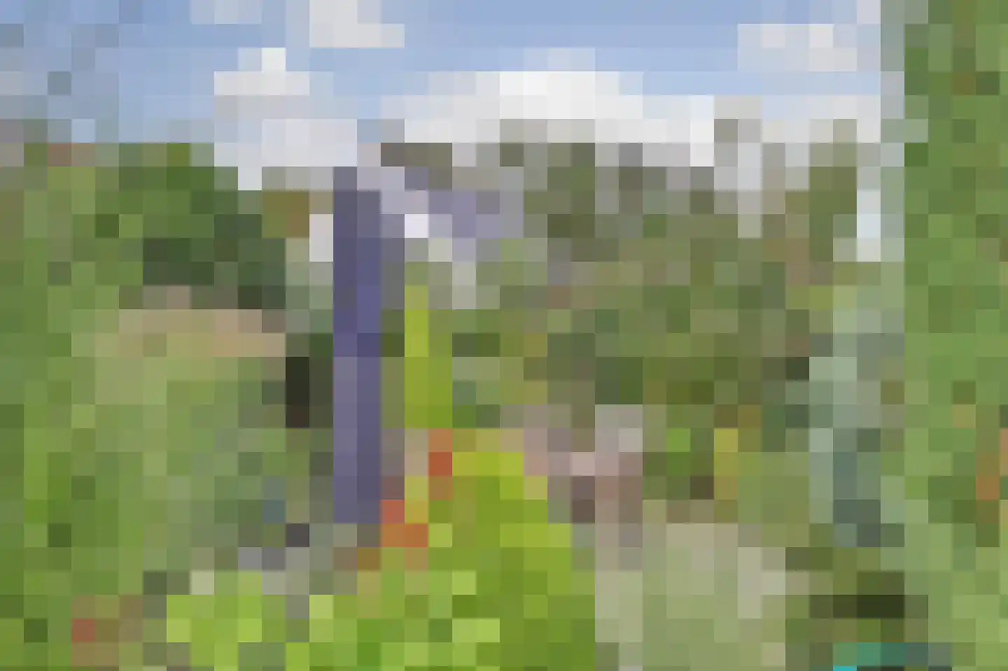 Molendijk 8 's-Heerenhoek thumbnail 24