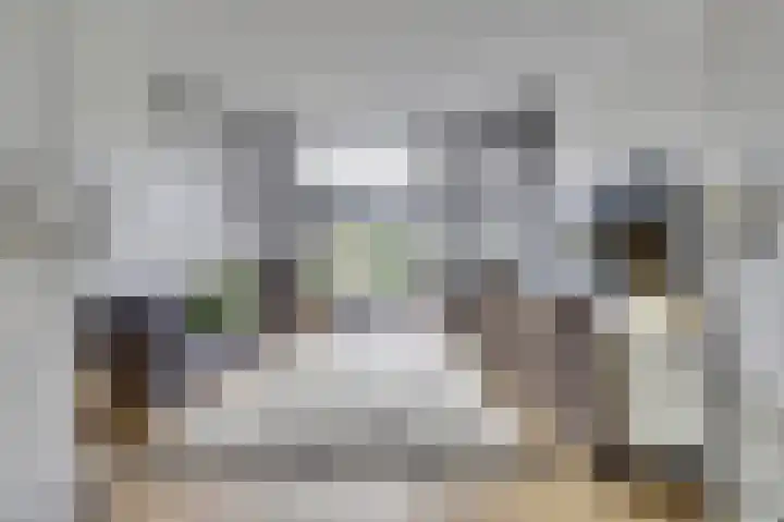Molendijk 8 's-Heerenhoek foto 3