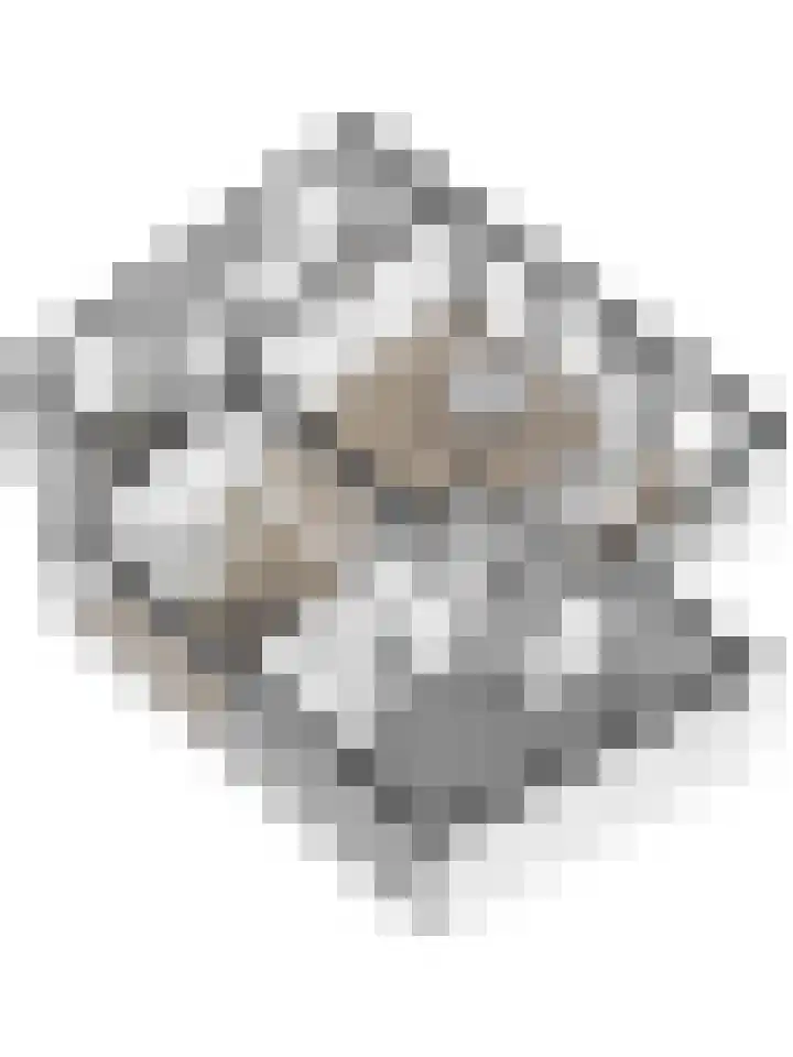 Molendijk 8 's-Heerenhoek thumbnail 31