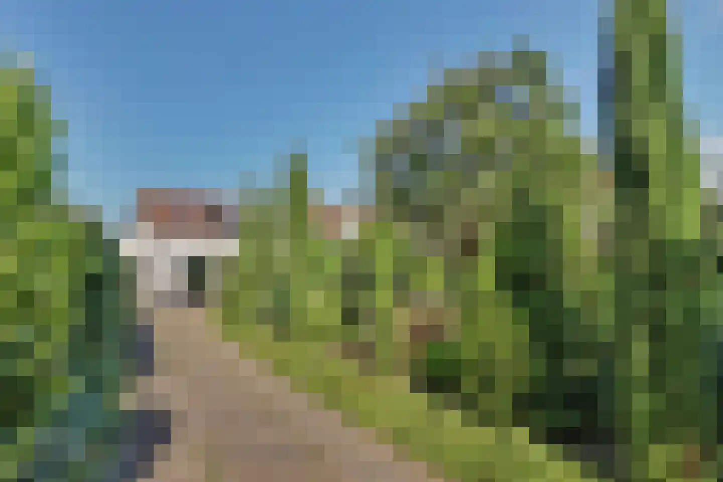 Molendijk 8 's-Heerenhoek thumbnail 33