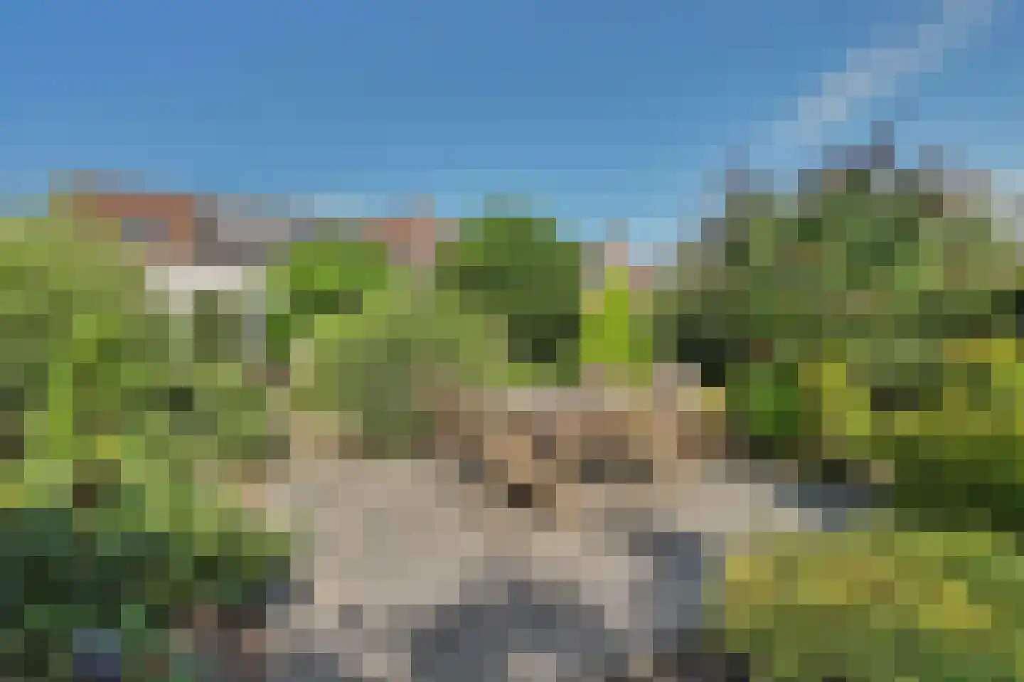 Molendijk 8 's-Heerenhoek thumbnail 35