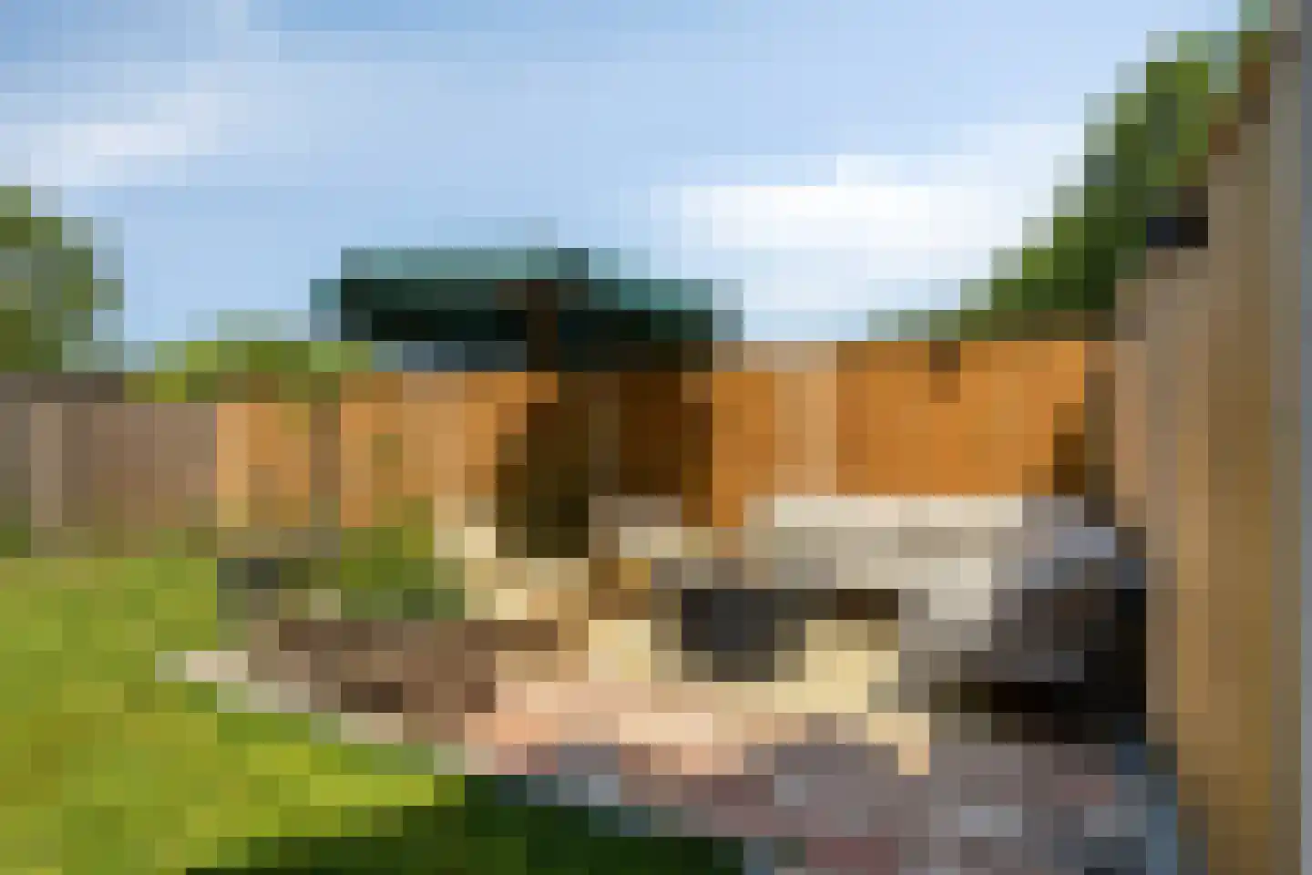 Molendijk 81 Den Bommel thumbnail 22