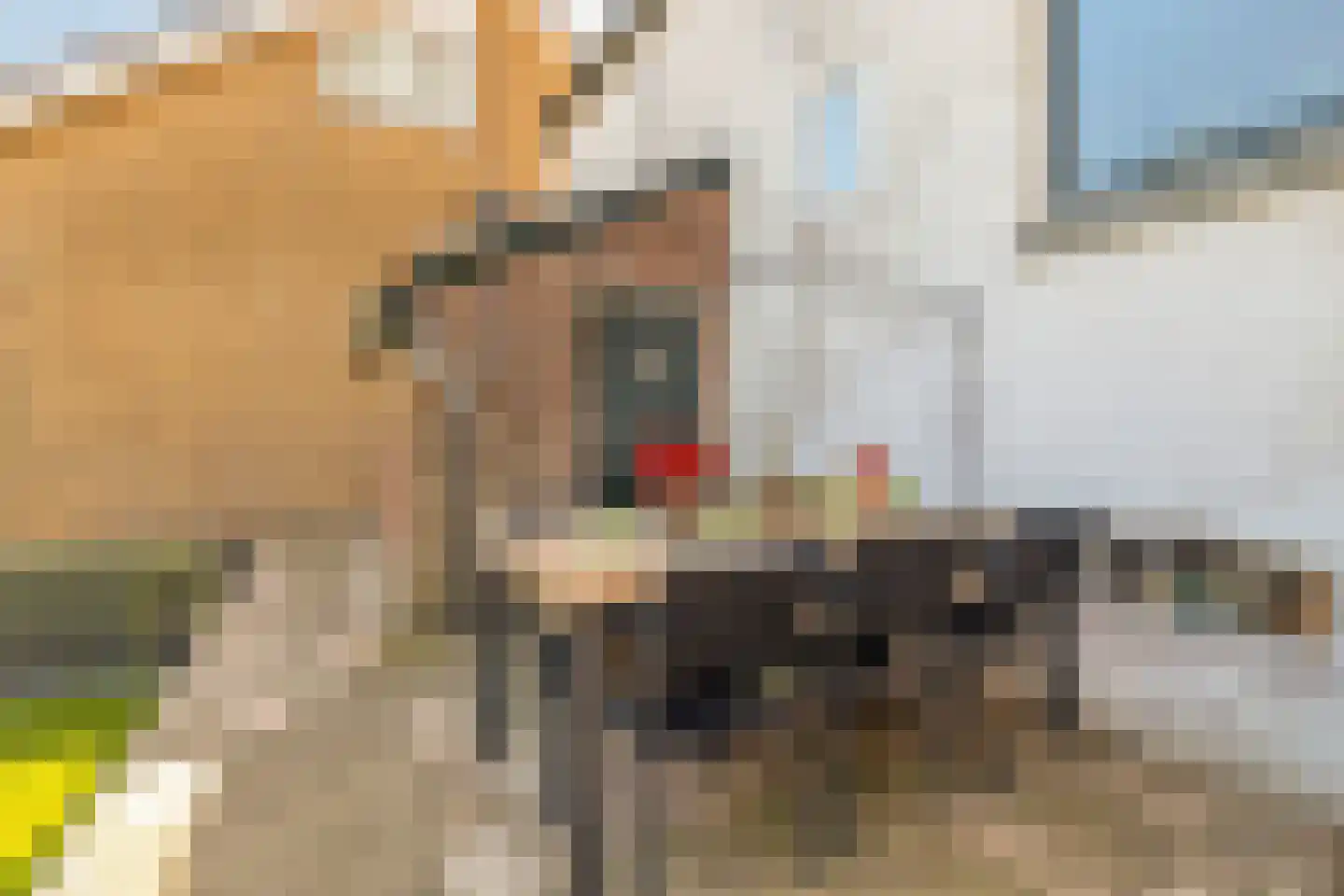 Molendijk 81 Den Bommel thumbnail 23