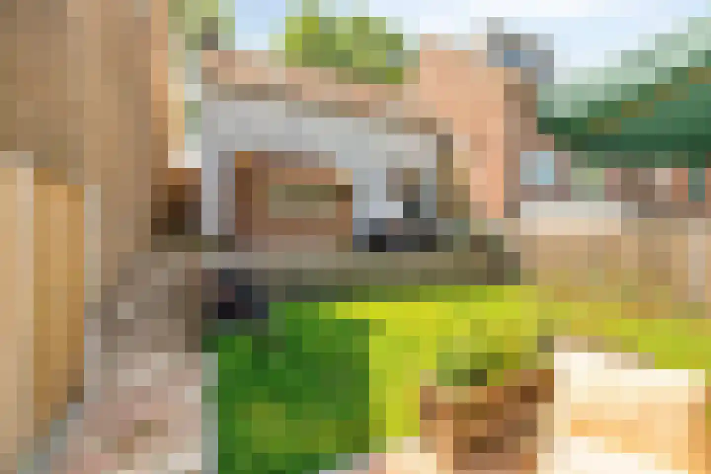 Molendijk 81 Den Bommel thumbnail 24