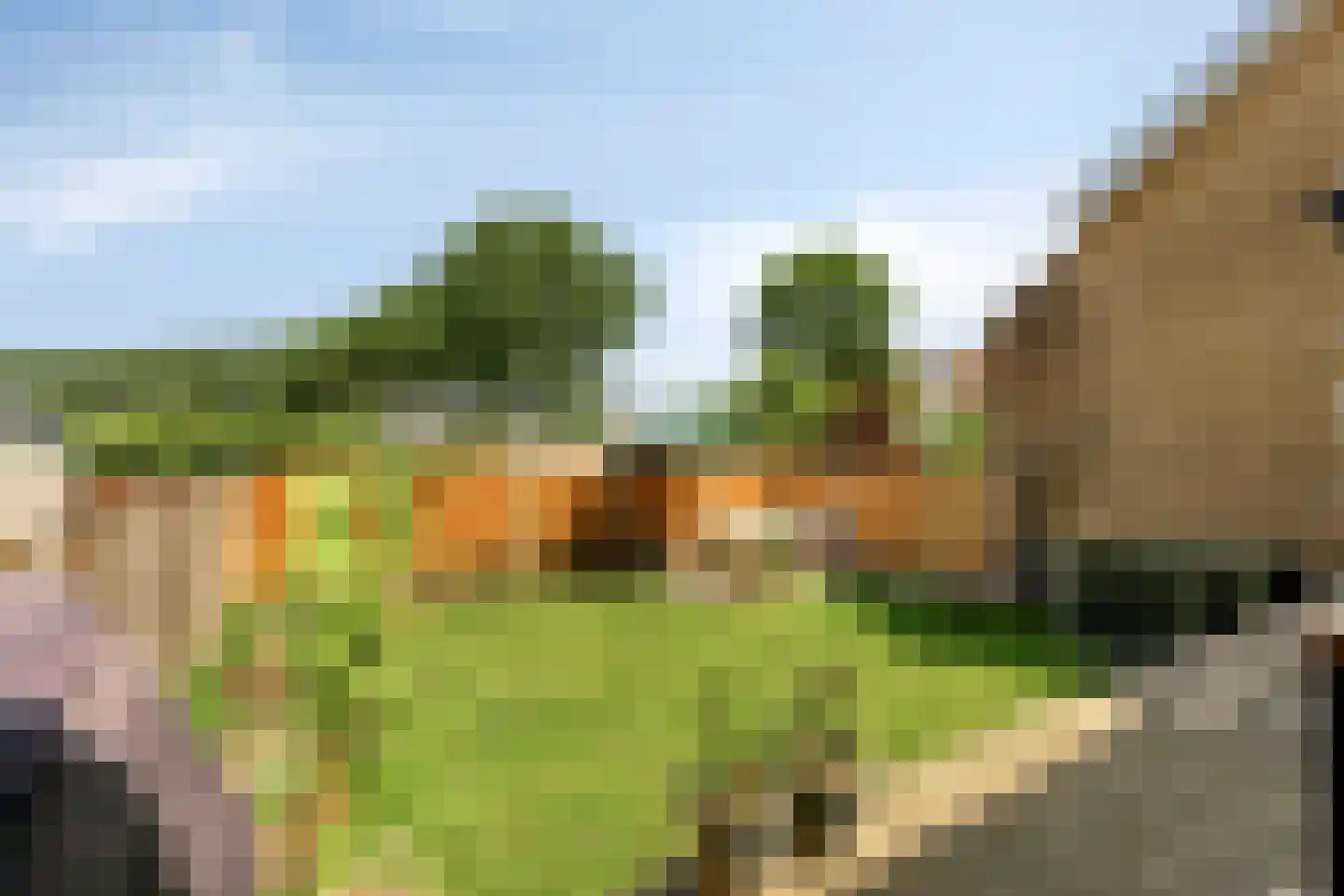 Molendijk 81 Den Bommel thumbnail 5