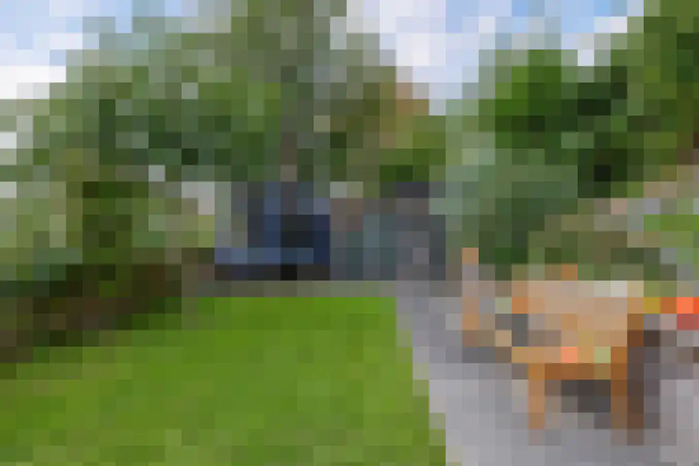 Molendijk 85 Oude-Tonge thumbnail 14