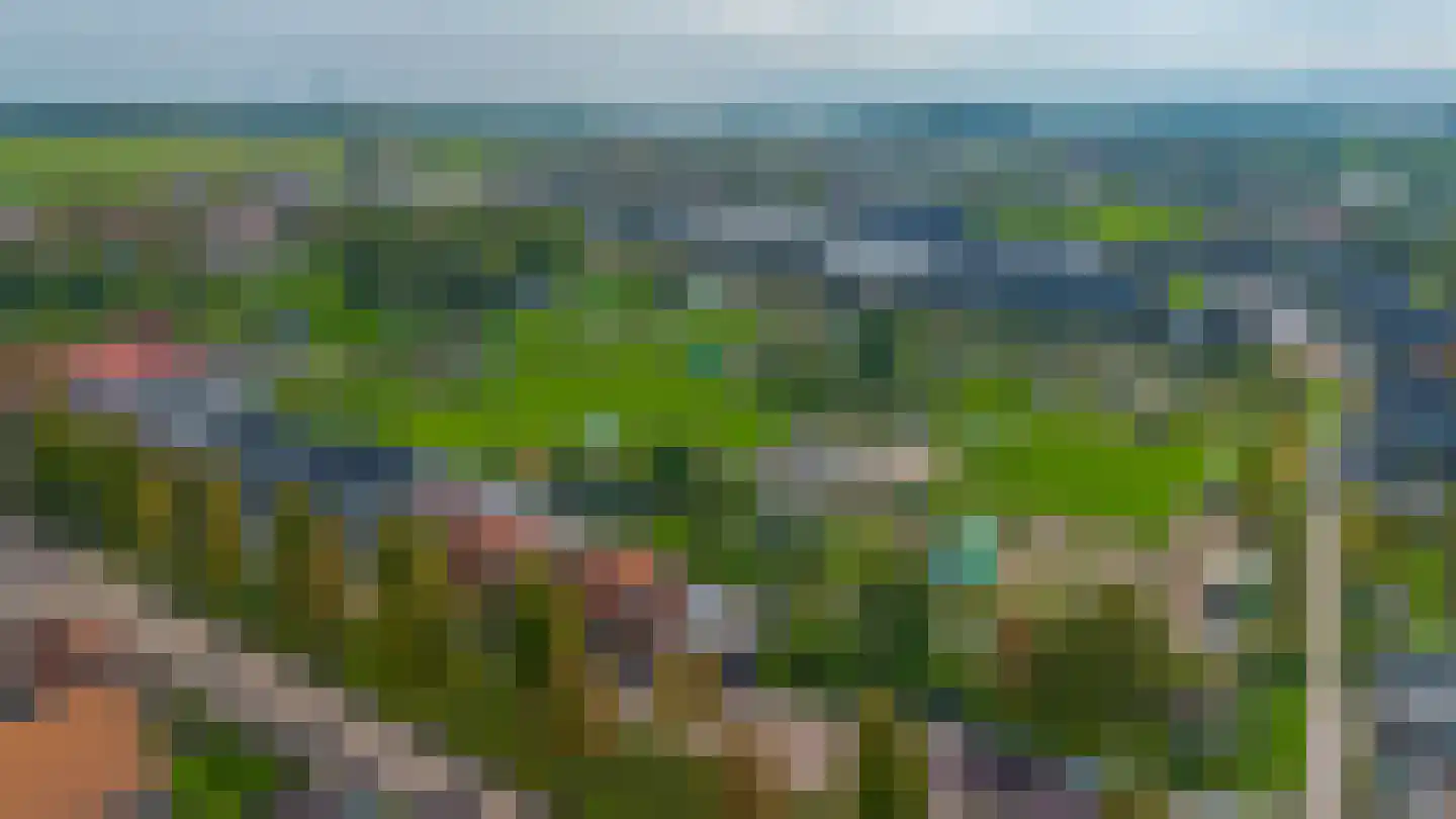 Molendijk 85 Oude-Tonge thumbnail 31