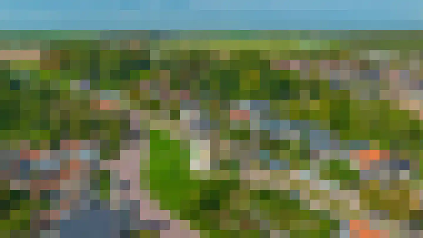 Molendijk 85 Oude-Tonge thumbnail 35