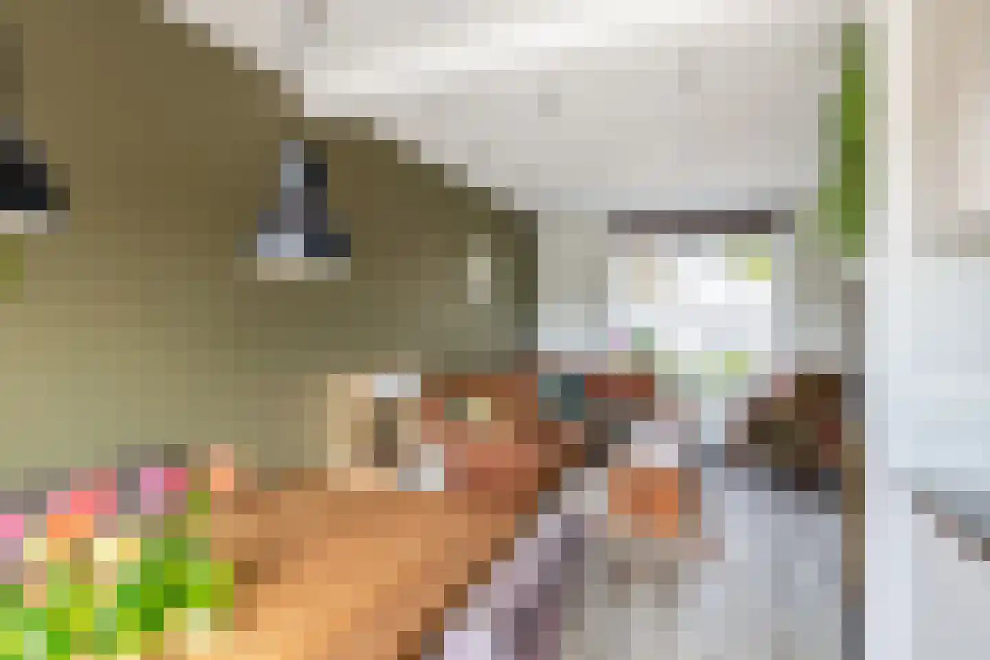 Molendijk 85 Oude-Tonge thumbnail 8