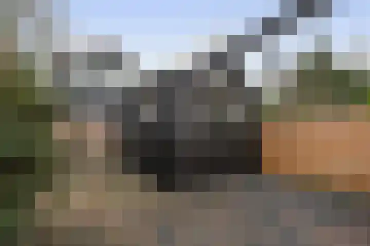 Molendijk 85 Zuid-Beijerland thumbnail 40