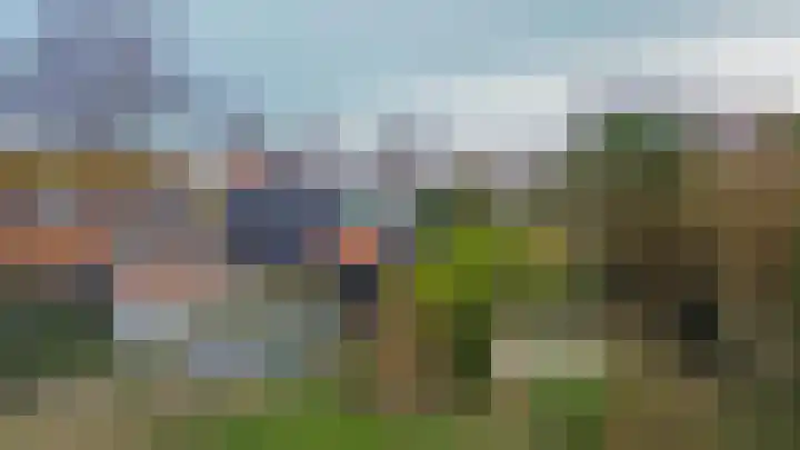 Molendijk 85 Zuid-Beijerland thumbnail 44