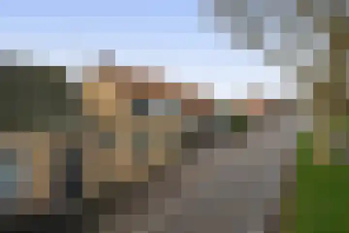 Molendijk 85 Zuid-Beijerland thumbnail 7