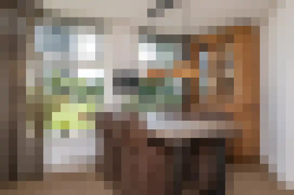 Molendijk 89 Nieuwe-Tonge thumbnail 17