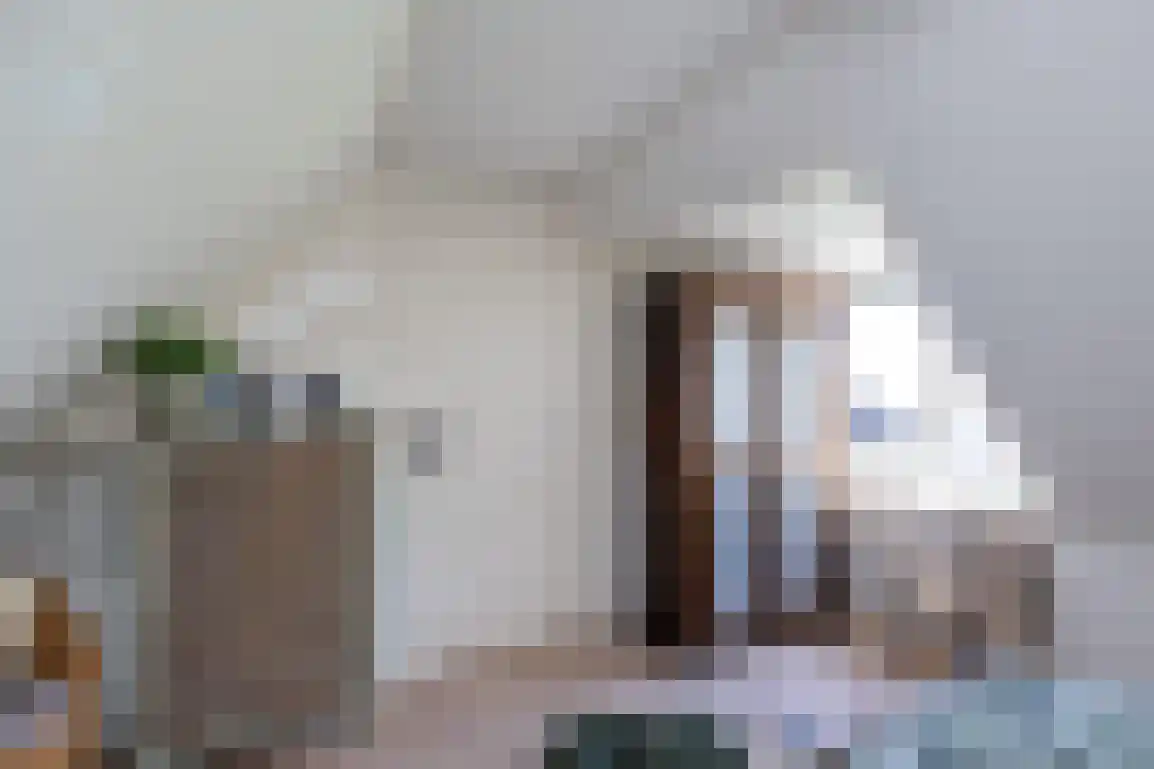 Molendijk 89 Nieuwe-Tonge thumbnail 27