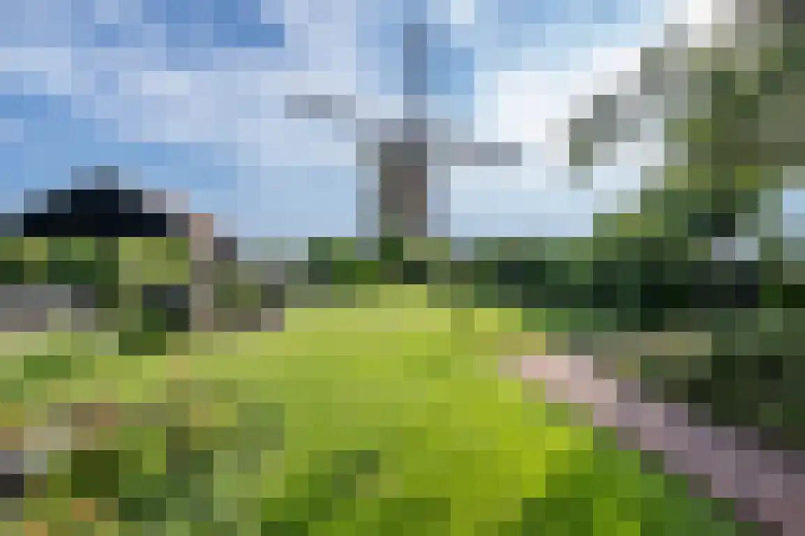 Molendijk 89 Nieuwe-Tonge thumbnail 33