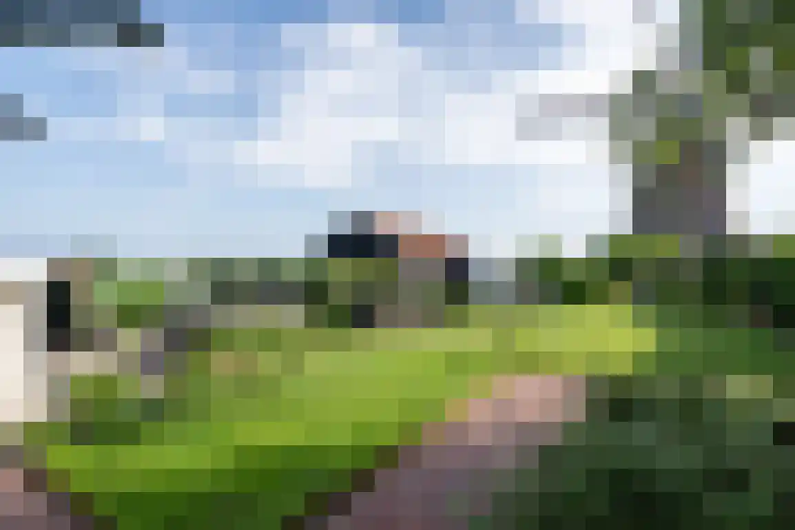 Molendijk 89 Nieuwe-Tonge thumbnail 34