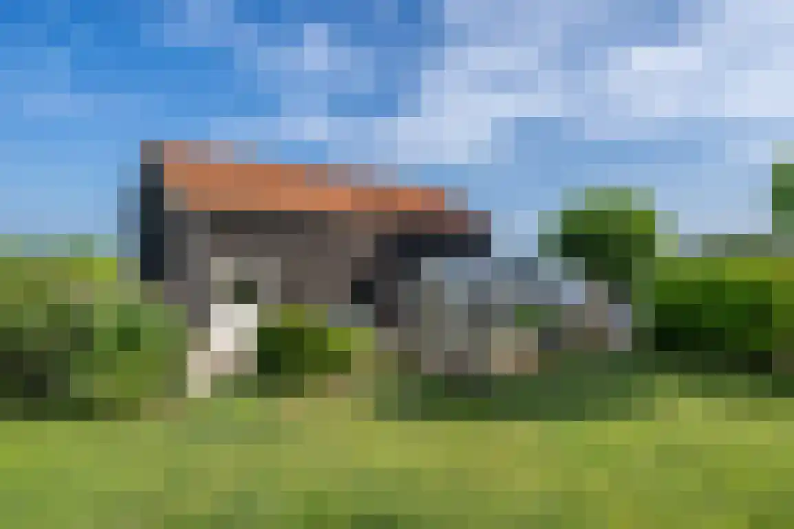Molendijk 89 Nieuwe-Tonge thumbnail 35