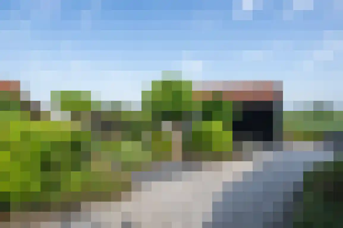 Molendijk 89 Nieuwe-Tonge thumbnail 36