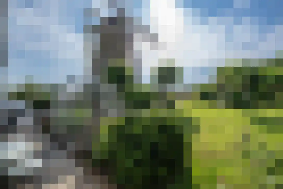 Molendijk 89 Nieuwe-Tonge thumbnail 37