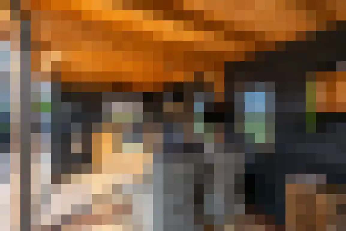 Molendijk 89 Nieuwe-Tonge thumbnail 4