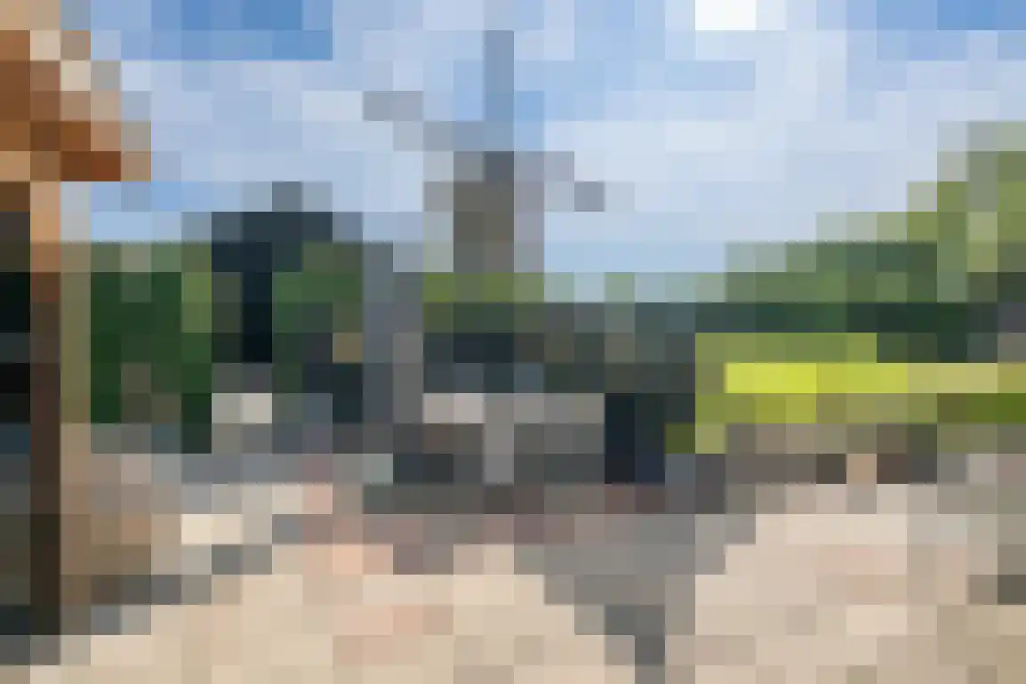 Molendijk 89 Nieuwe-Tonge thumbnail 42