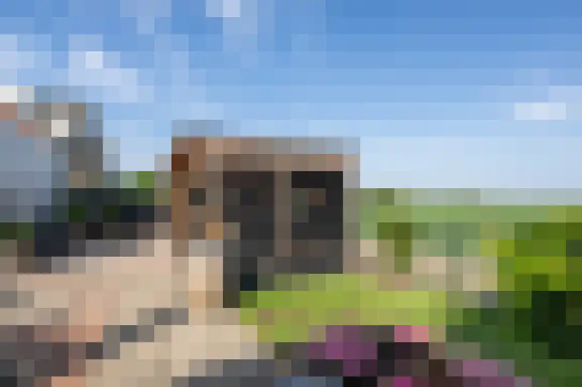 Molendijk 89 Nieuwe-Tonge thumbnail 44