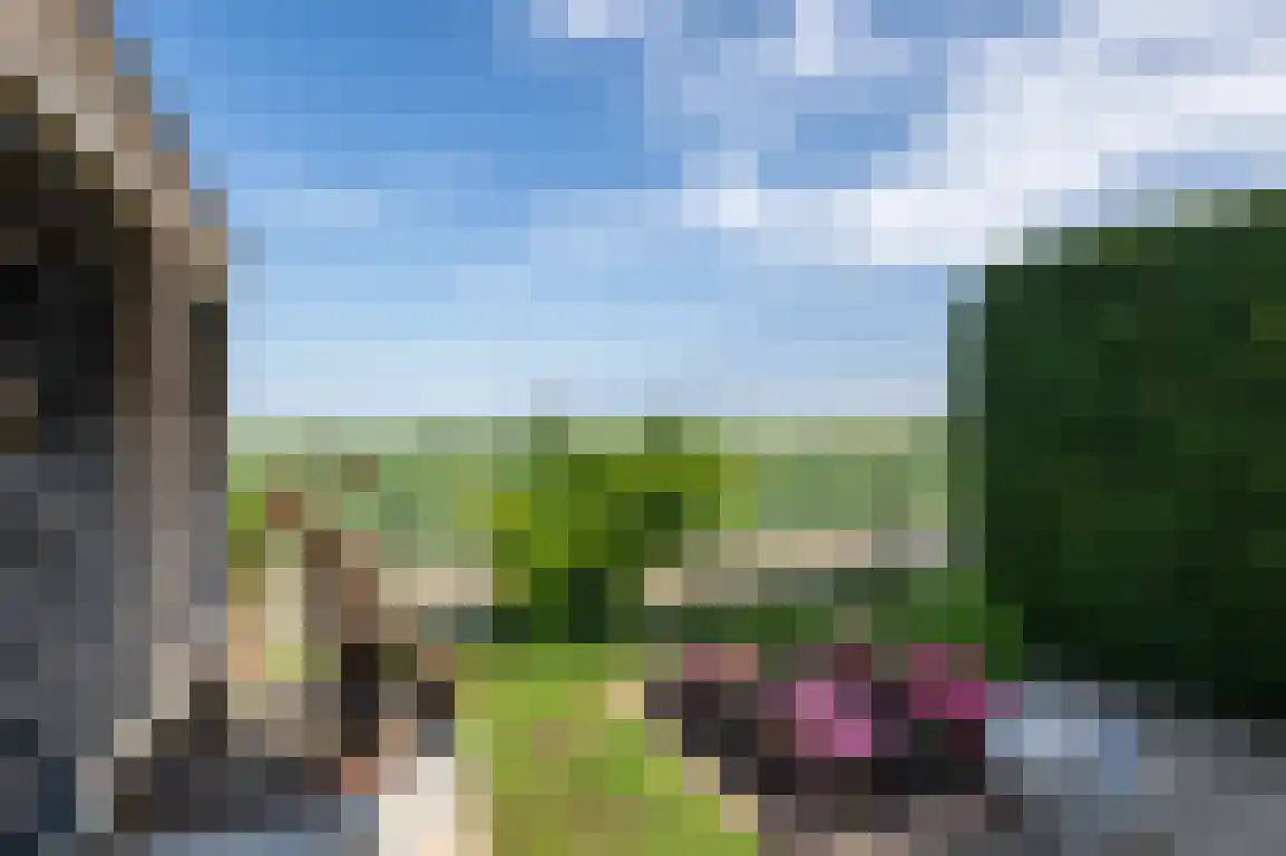 Molendijk 89 Nieuwe-Tonge thumbnail 47