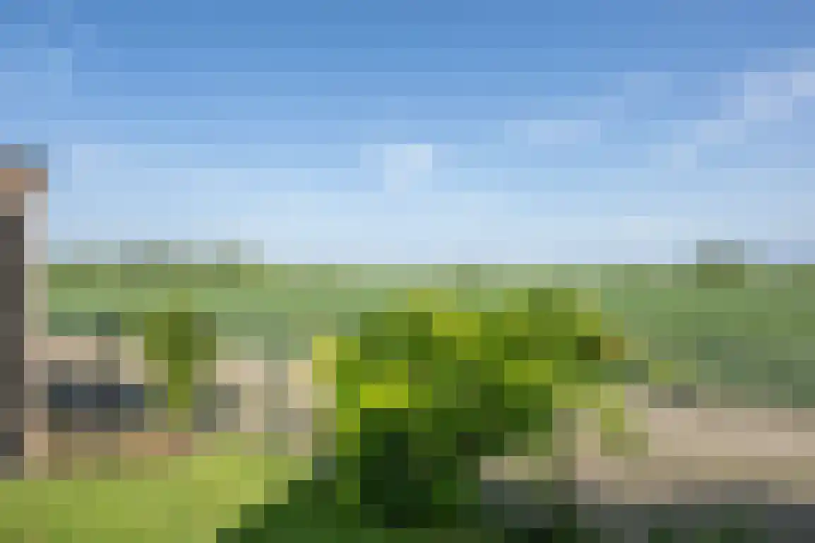 Molendijk 89 Nieuwe-Tonge thumbnail 48