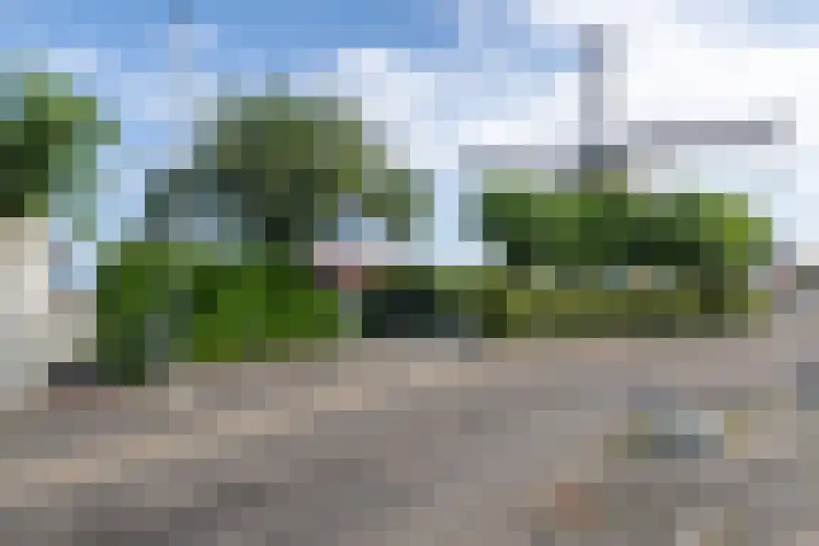 Molendijk 89 Nieuwe-Tonge thumbnail 49