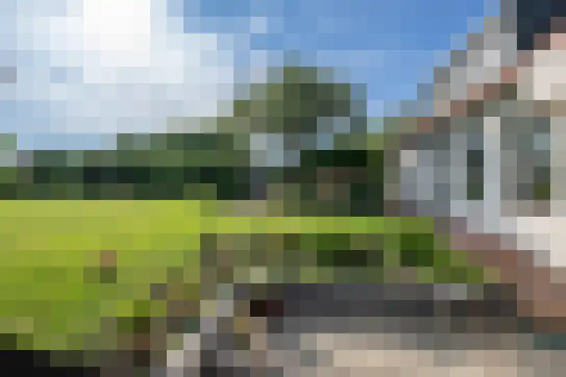 Molendijk 89 Nieuwe-Tonge thumbnail 5