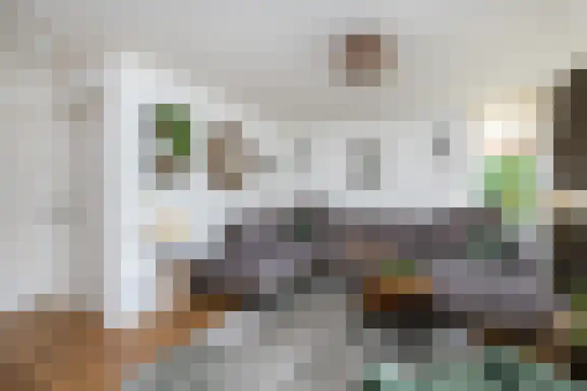 Molendijk 89 Nieuwe-Tonge thumbnail 8