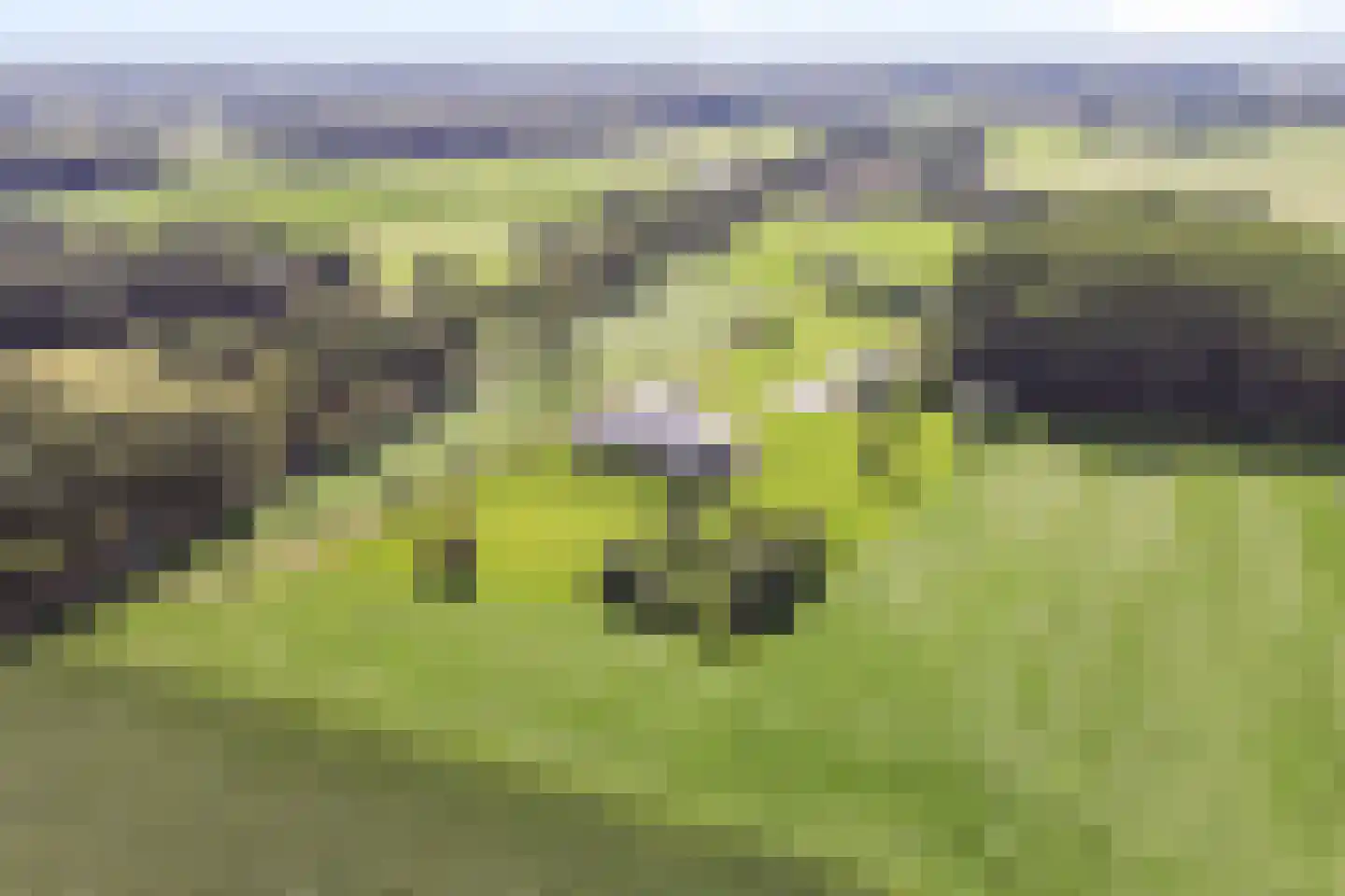 Molendijk 9 Laren thumbnail 71