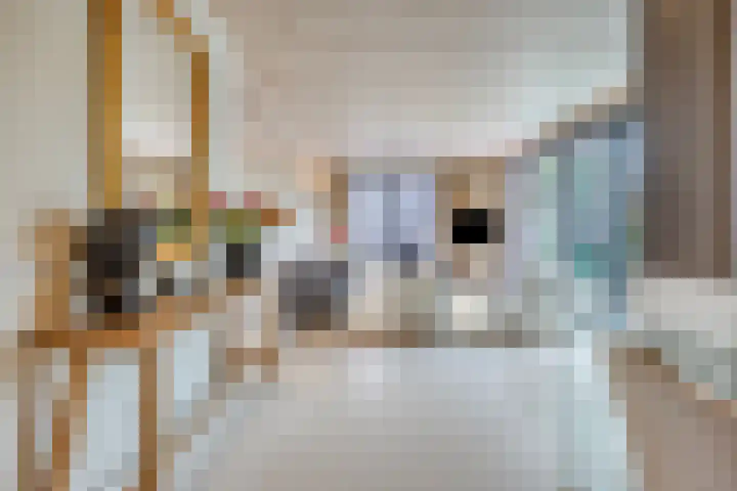 Molendijk 9 Numansdorp thumbnail 11