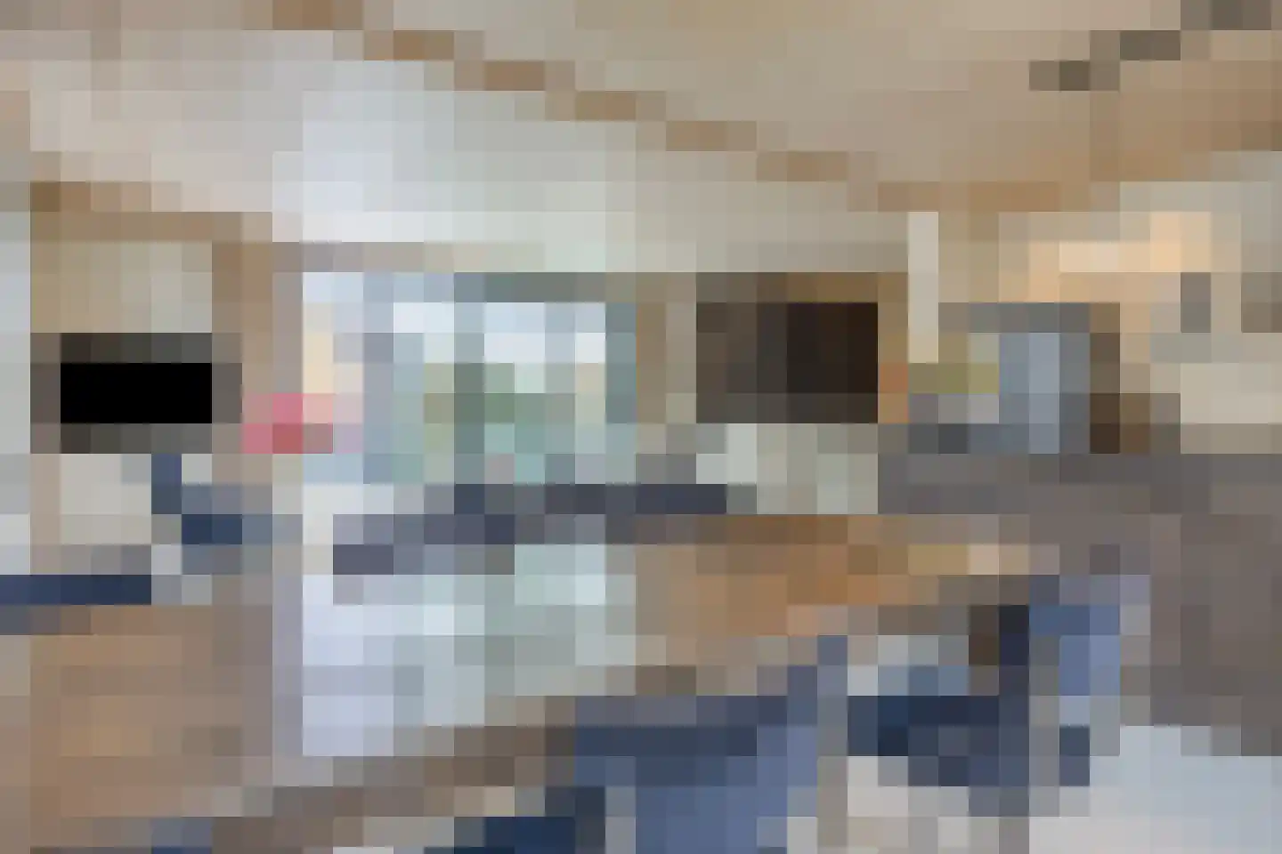 Molendijk 9 Numansdorp thumbnail 15