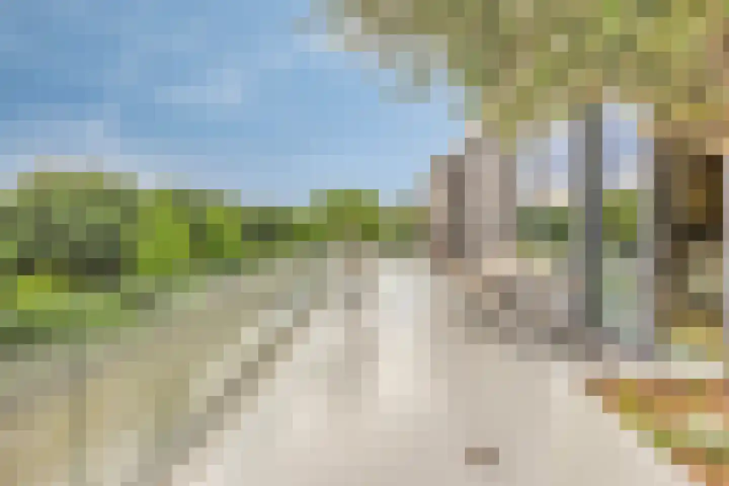 Molendijk 9 Numansdorp thumbnail 25
