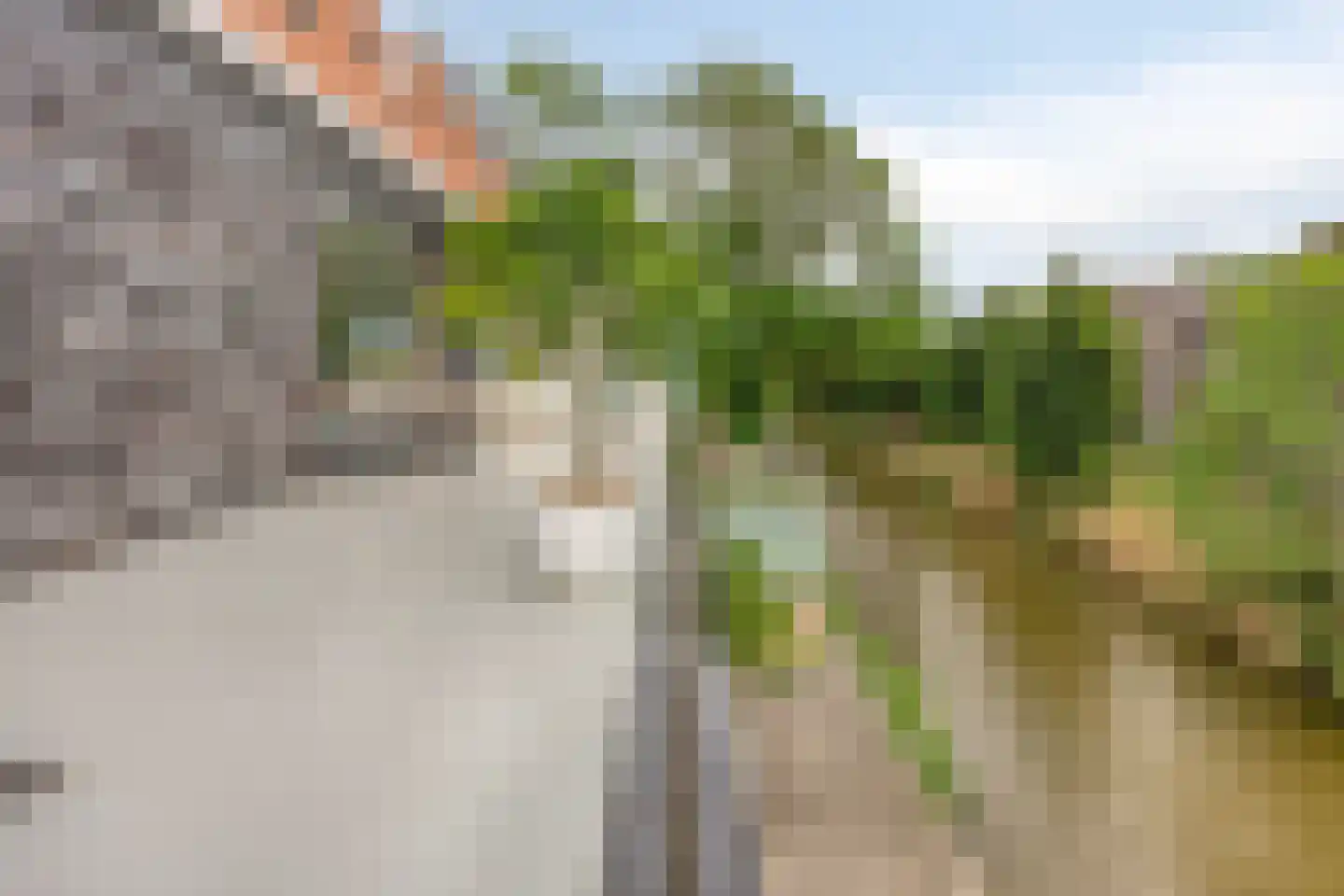 Molendijk 9 Numansdorp thumbnail 27