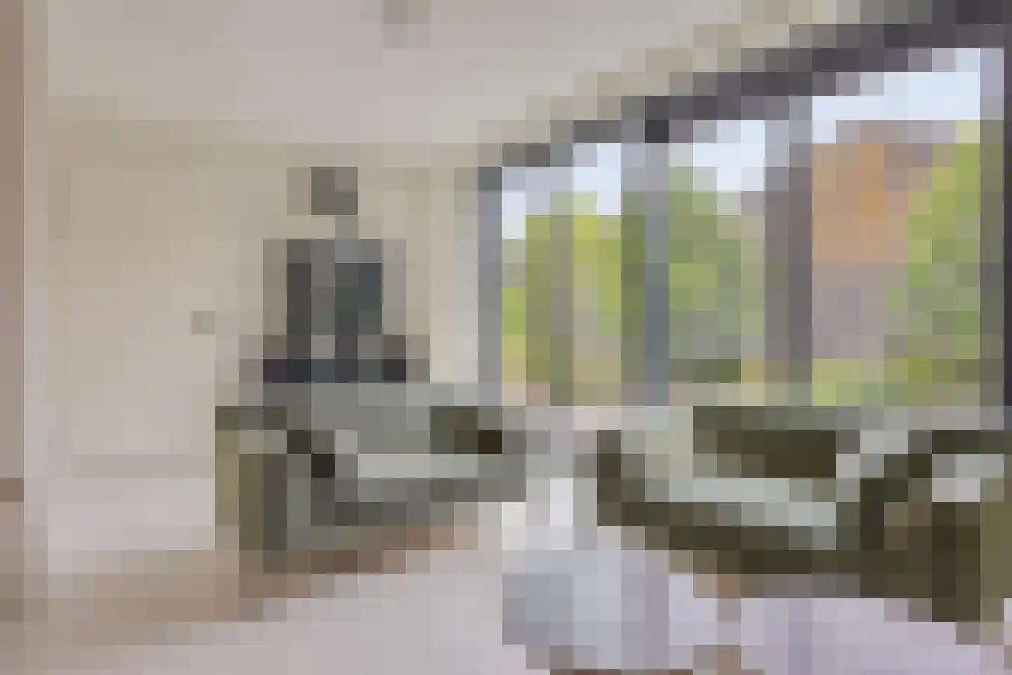 Molendijk 9 Numansdorp thumbnail 41