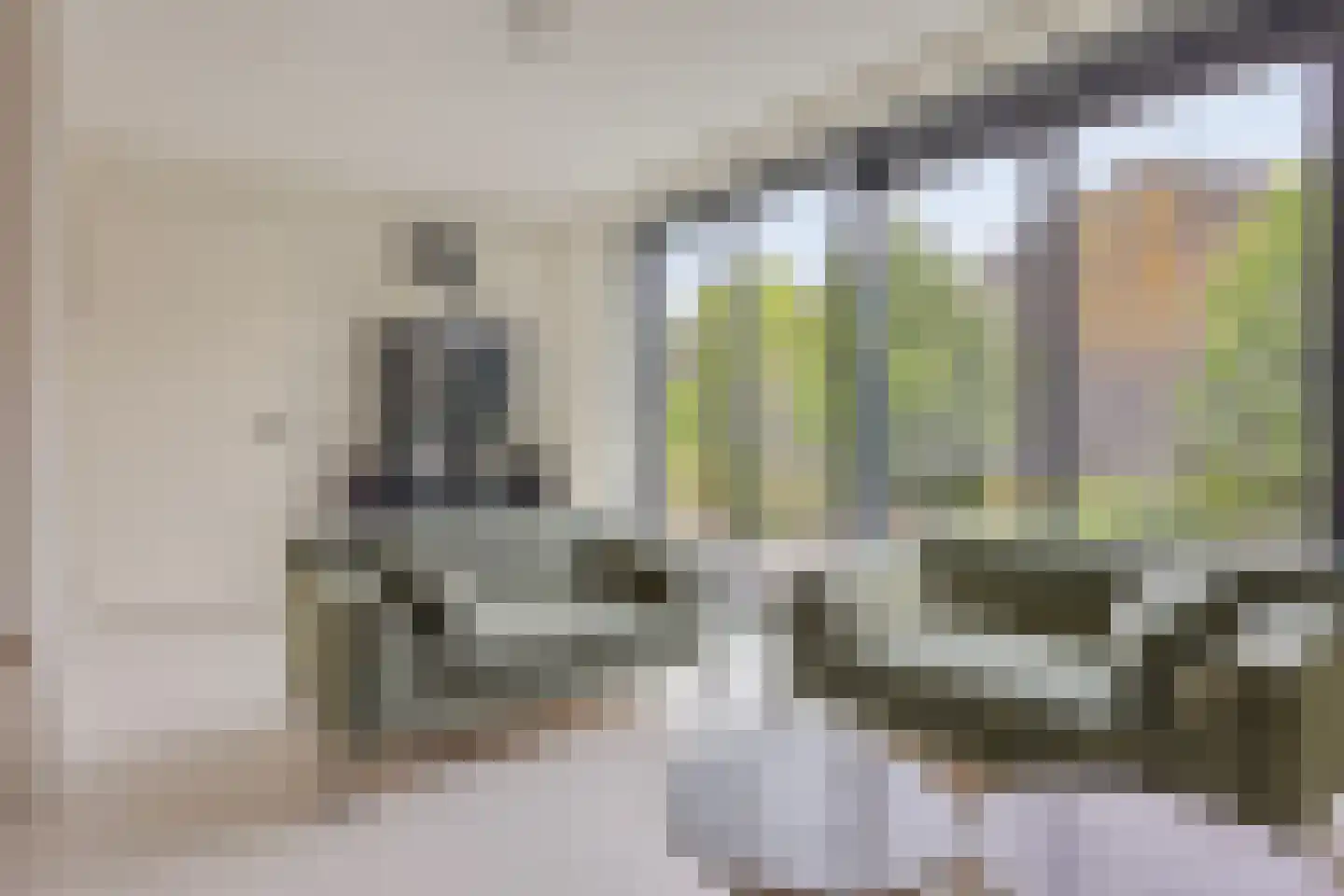Molendijk 9 Numansdorp thumbnail 43