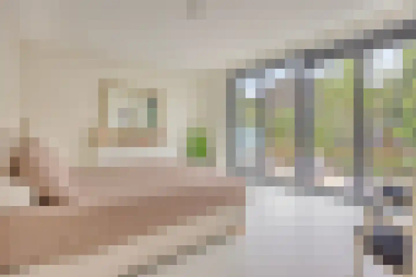 Molendijk 9 Numansdorp thumbnail 46