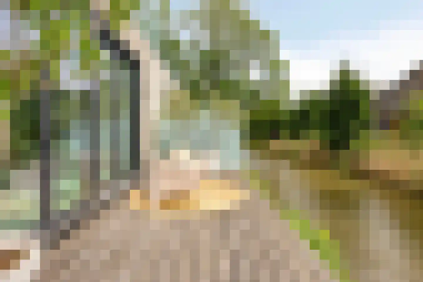 Molendijk 9 Numansdorp thumbnail 51