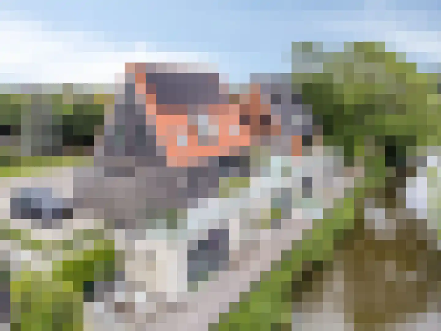 Molendijk 9 Numansdorp thumbnail 58