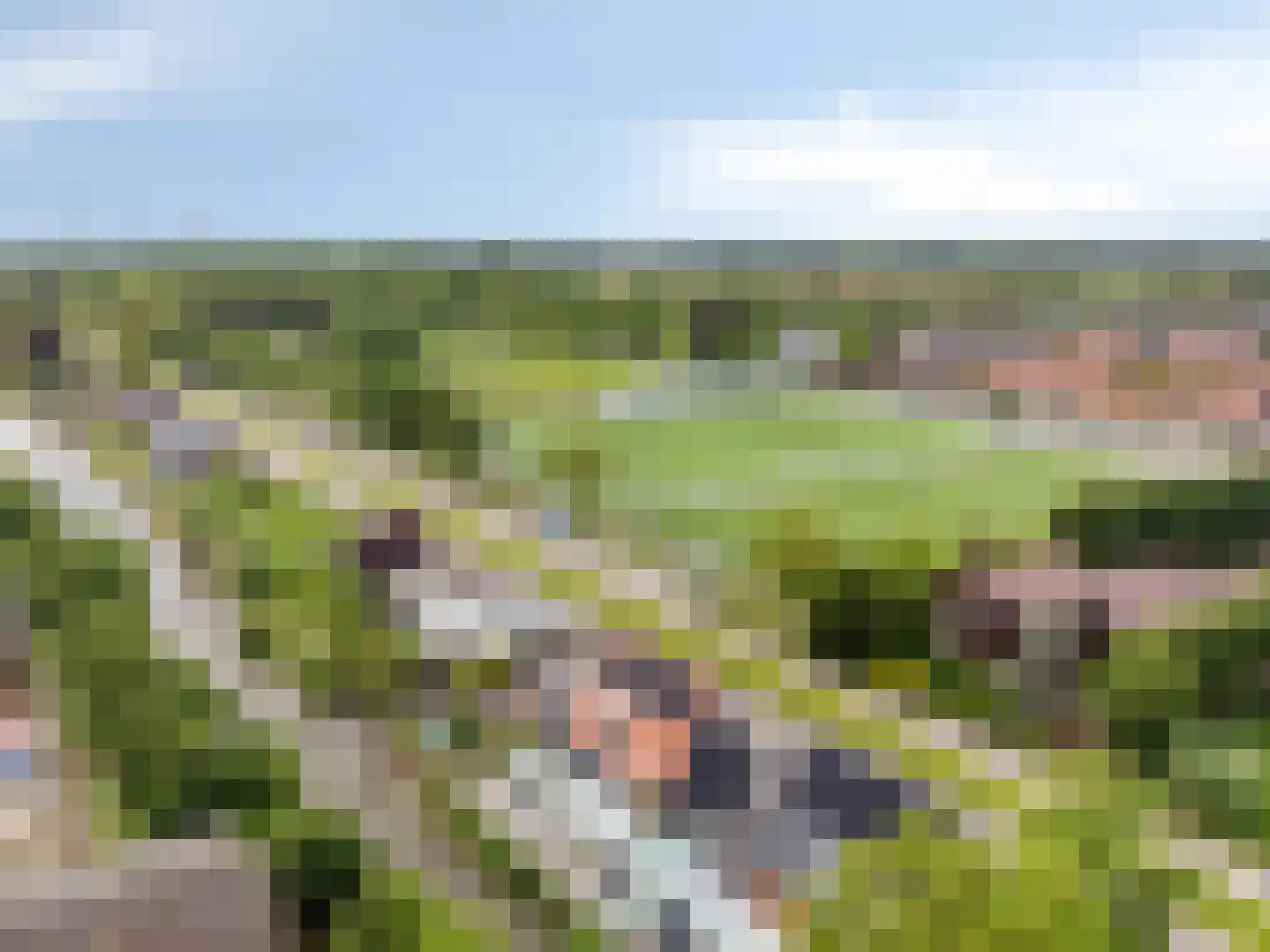 Molendijk 9 Numansdorp thumbnail 59