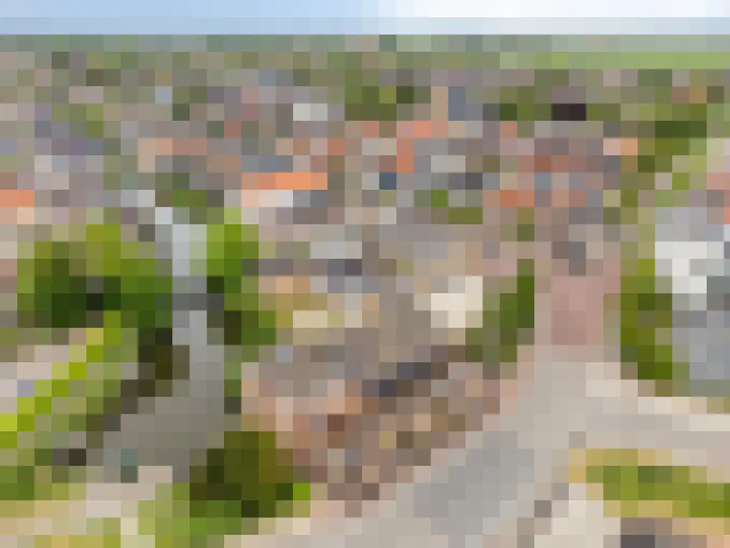 Molendijk 9 Numansdorp thumbnail 60