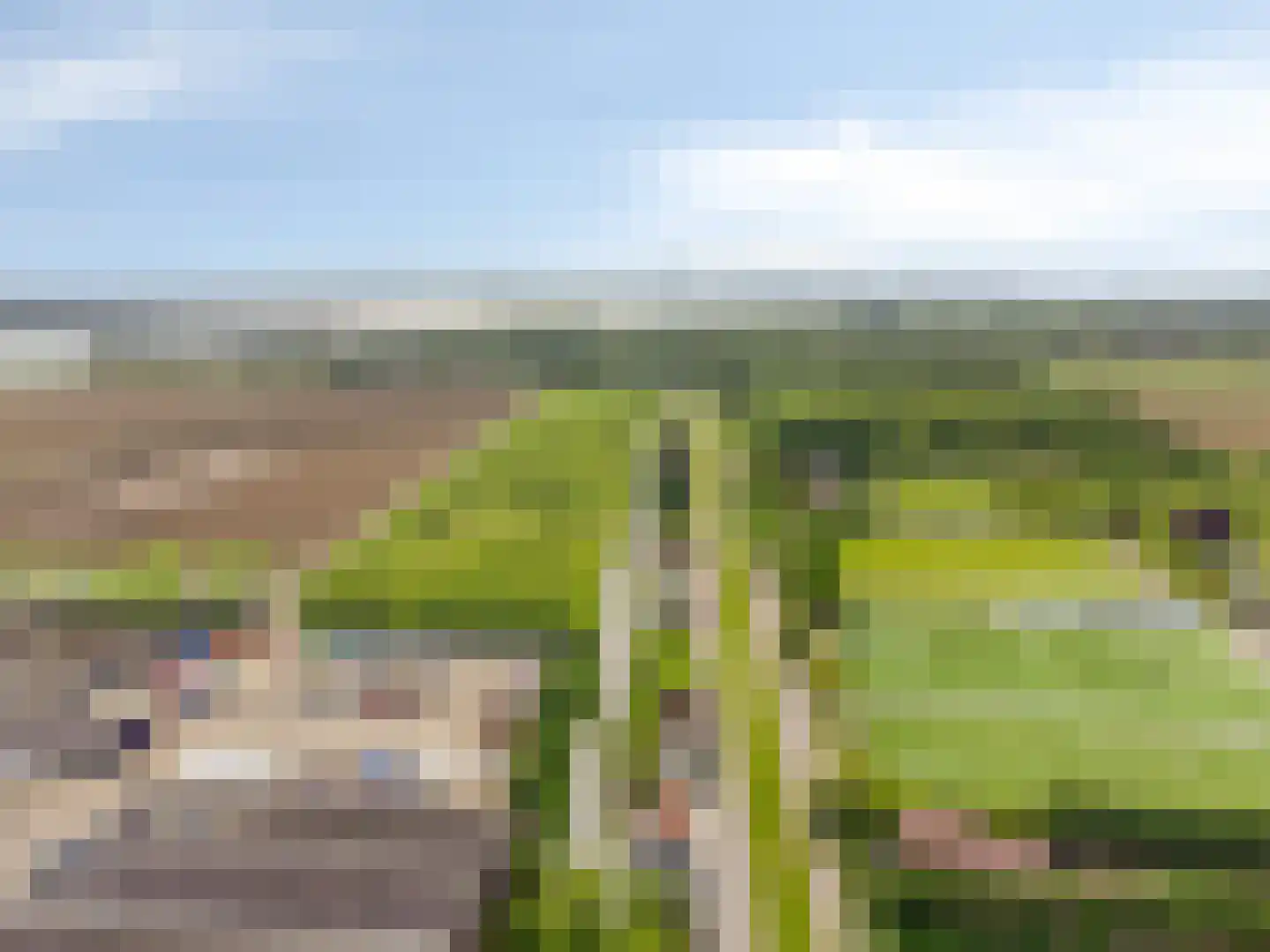 Molendijk 9 Numansdorp thumbnail 61