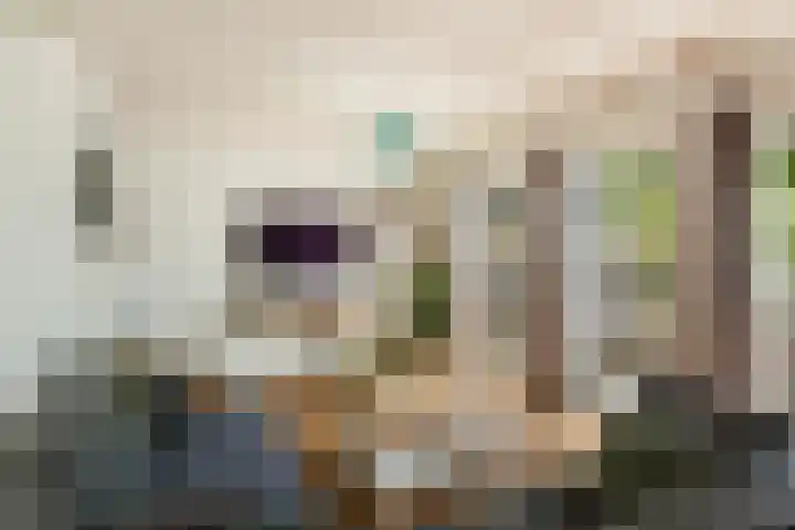 Molendijk 90 Klaaswaal thumbnail 12