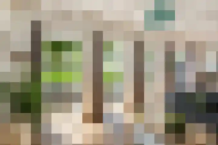 Molendijk 90 Klaaswaal thumbnail 14