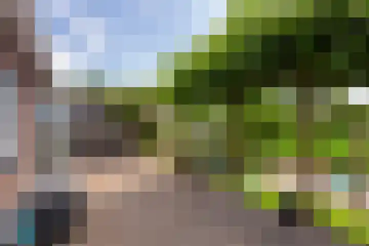 Molendijk 90 Klaaswaal thumbnail 45